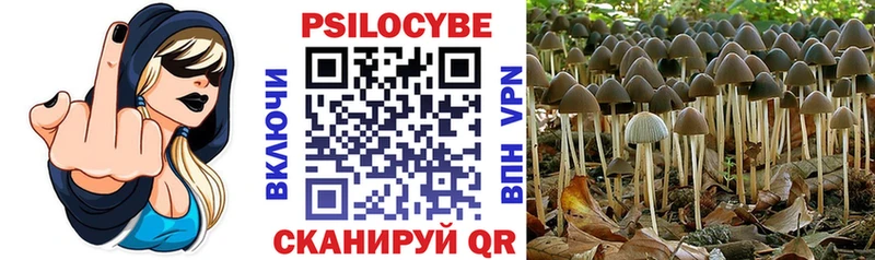 маркетплейс состав  Анапа  Псилоцибиновые грибы Magic Shrooms 